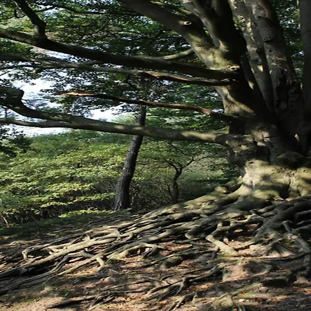 Feriehus Family Near Hoge Veluwe Park Voorthuizen
