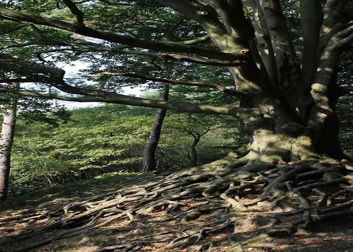 Semesterbostad Family Near Hoge Veluwe Park Voorthuizen