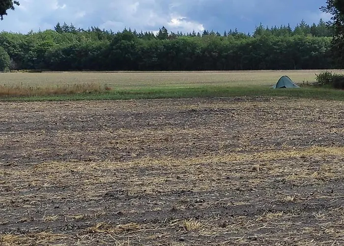 Family Near Hoge Veluwe Park Voorthuizen