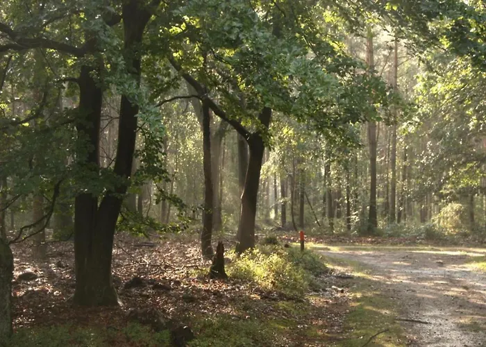 Semesterbostad Family Near Hoge Veluwe Park