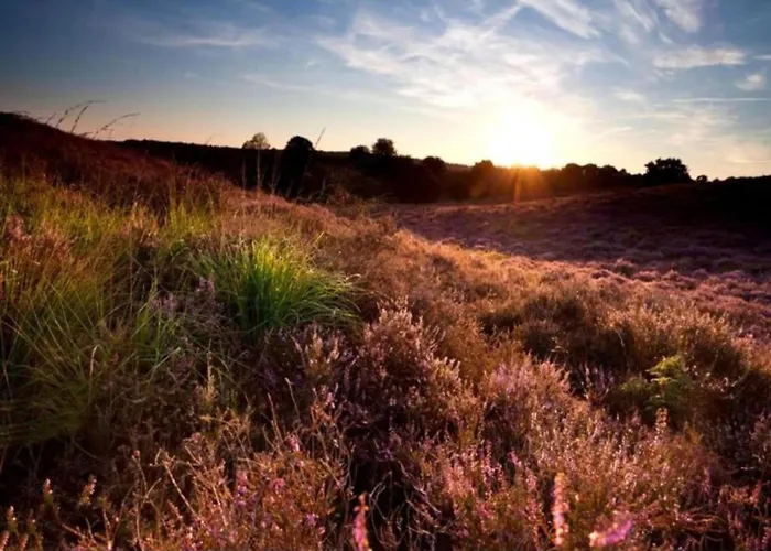Family Near Hoge Veluwe Park Semesterbostad