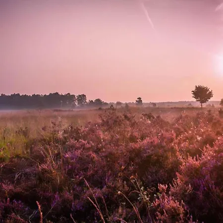 度假居 Family Near Hoge Veluwe Park