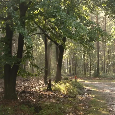 度假居 Family Near Hoge Veluwe Park