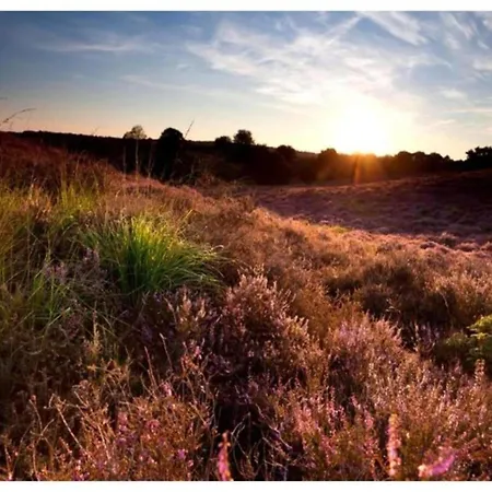 Family Near Hoge Veluwe Park 度假居
