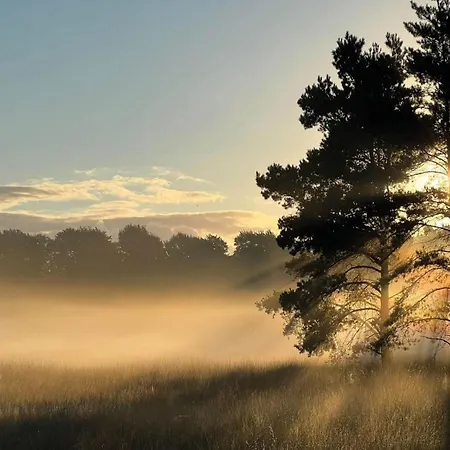 Family Near Hoge Veluwe Park *